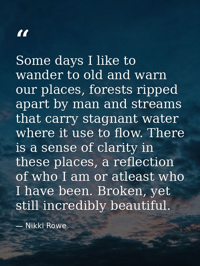 Some days I like to wander to old and warn our places, forests ripped apart by man and streams that carry stagnant water — Nikki Rowe