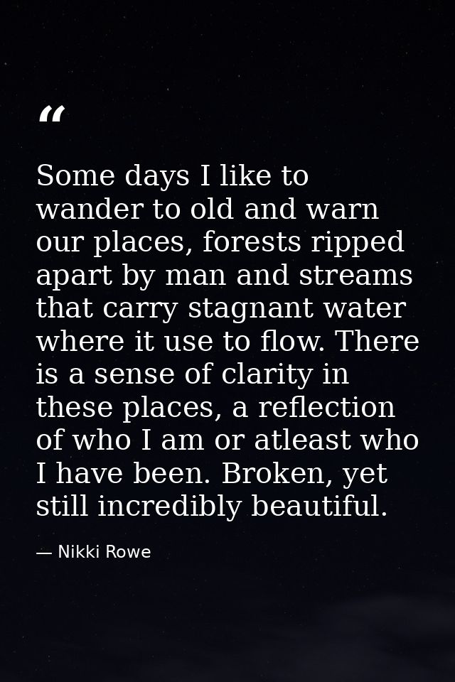 Some days I like to wander to old and warn our places, forests ripped apart by man and streams that carry stagnant water — Nikki Rowe