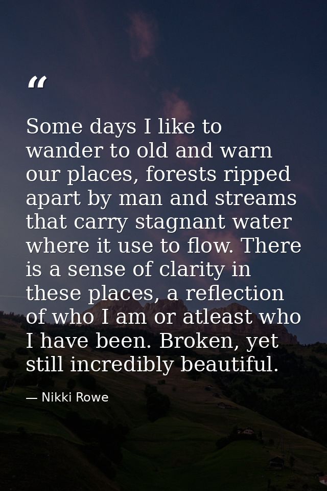 Some days I like to wander to old and warn our places, forests ripped apart by man and streams that carry stagnant water — Nikki Rowe