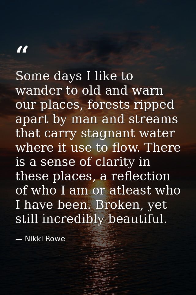 Some days I like to wander to old and warn our places, forests ripped apart by man and streams that carry stagnant water — Nikki Rowe