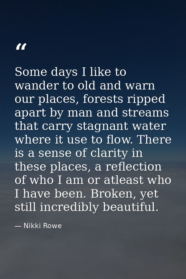 Some days I like to wander to old and warn our places, forests ripped apart by man and streams that carry stagnant water — Nikki Rowe