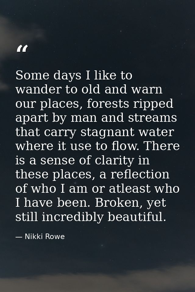Some days I like to wander to old and warn our places, forests ripped apart by man and streams that carry stagnant water — Nikki Rowe