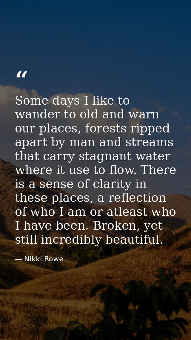 Some days I like to wander to old and warn our places, forests ripped apart by man and streams that carry stagnant water — Nikki Rowe