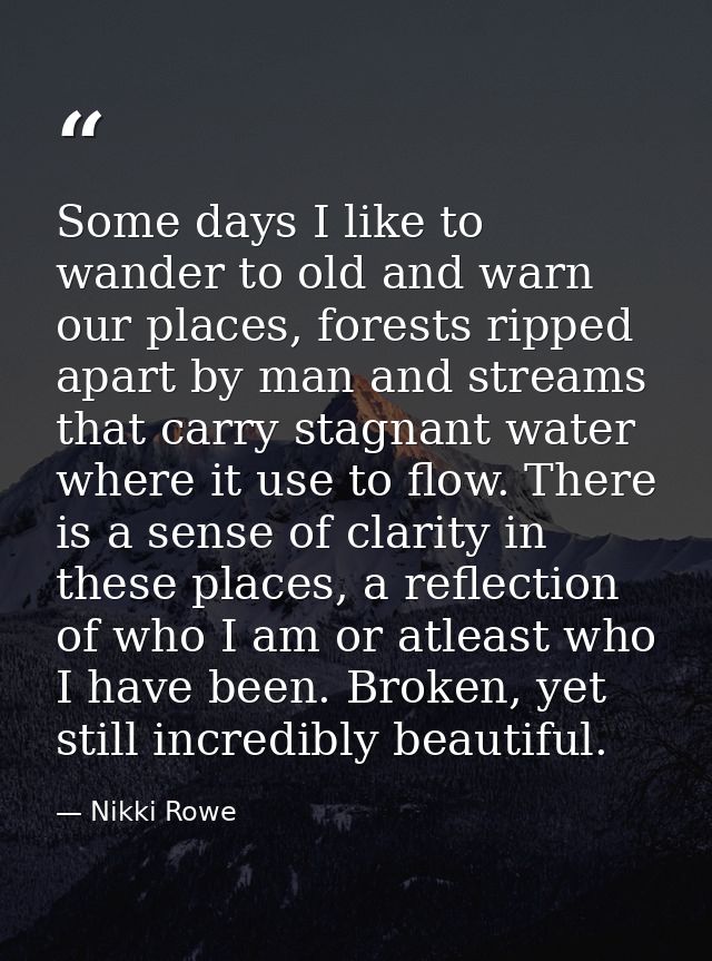 Some days I like to wander to old and warn our places, forests ripped apart by man and streams that carry stagnant water — Nikki Rowe