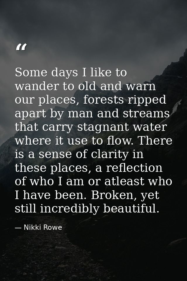 Some days I like to wander to old and warn our places, forests ripped apart by man and streams that carry stagnant water — Nikki Rowe