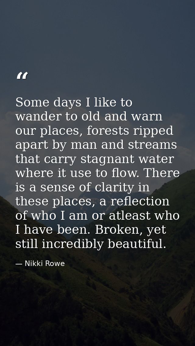 Some days I like to wander to old and warn our places, forests ripped apart by man and streams that carry stagnant water — Nikki Rowe