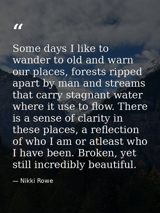 Some days I like to wander to old and warn our places, forests ripped apart by man and streams that carry stagnant water — Nikki Rowe