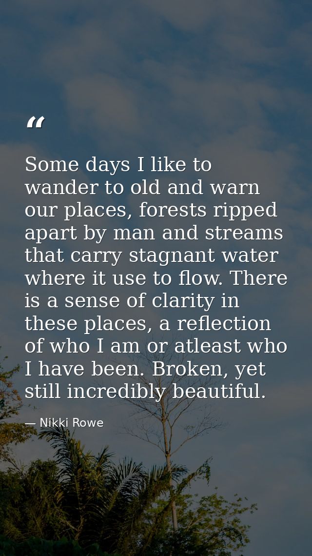 Some days I like to wander to old and warn our places, forests ripped apart by man and streams that carry stagnant water — Nikki Rowe