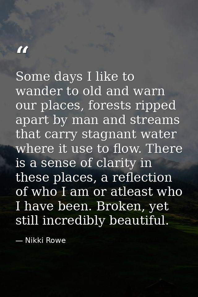 Some days I like to wander to old and warn our places, forests ripped apart by man and streams that carry stagnant water — Nikki Rowe