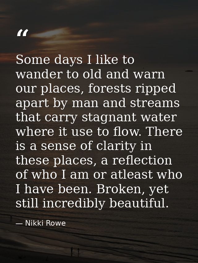 Some days I like to wander to old and warn our places, forests ripped apart by man and streams that carry stagnant water — Nikki Rowe
