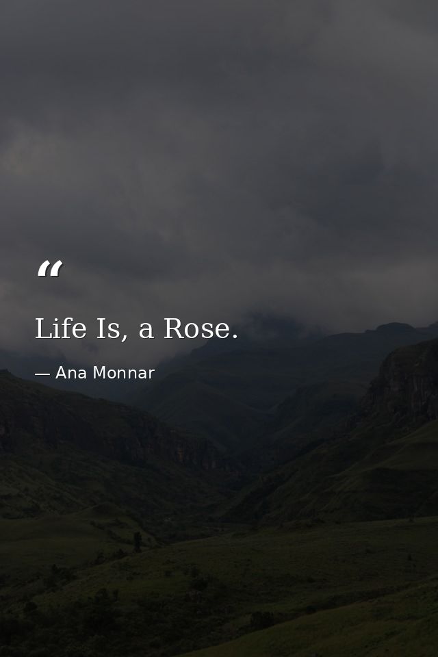 Life Is, a Rose. — Ana Monnar