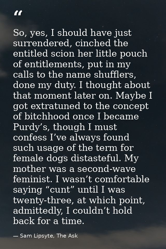So, yes, I should have just surrendered, cinched the entitled scion her little pouch of entitlements, put in my calls to — Sam Lipsyte, The Ask