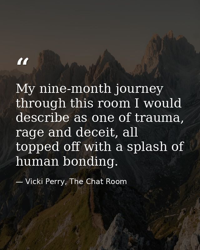My nine-month journey through this room I would describe as one of trauma, rage and deceit, all topped off with a splash — Vicki Perry, The Chat Room