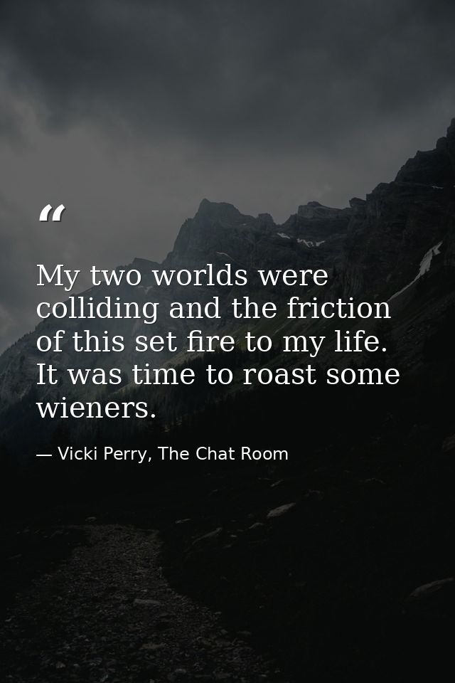 My two worlds were colliding and the friction of this set fire to my life. It was time to roast some wieners. — Vicki Perry, The Chat Room