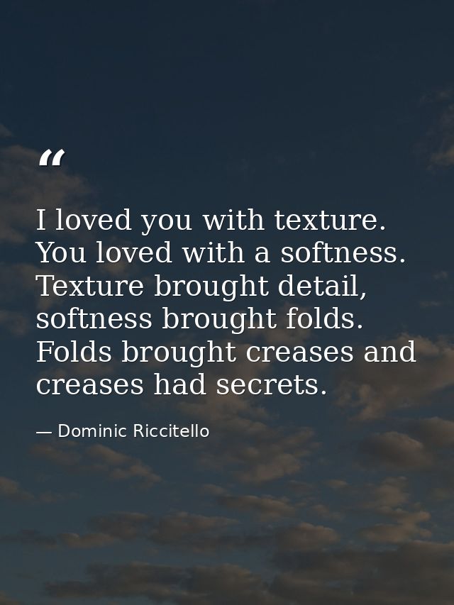 I loved you with texture. You loved with a softness. Texture brought detail, softness brought folds. Folds brought creas — Dominic Riccitello