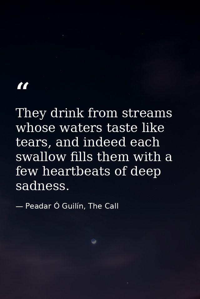 They drink from streams whose waters taste like tears, and indeed each swallow fills them with a few heartbeats of deep  — Peadar Ó Guilín, The Call