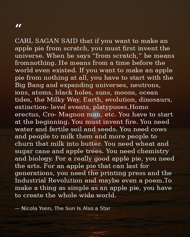CARL SAGAN SAID that if you want to make an apple pie from scratch, you must first invent the universe. When he says “fr — Nicola Yoon, The Sun Is Also a Star