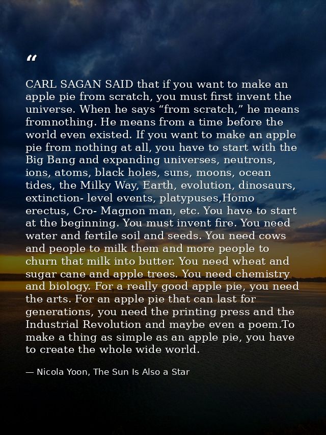 CARL SAGAN SAID that if you want to make an apple pie from scratch, you must first invent the universe. When he says “fr — Nicola Yoon, The Sun Is Also a Star