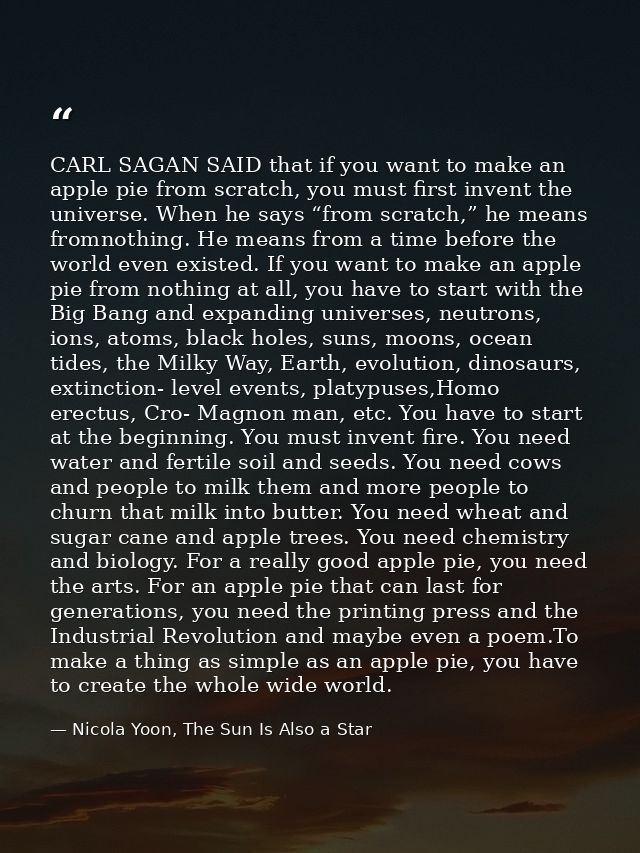 CARL SAGAN SAID that if you want to make an apple pie from scratch, you must first invent the universe. When he says “fr — Nicola Yoon, The Sun Is Also a Star