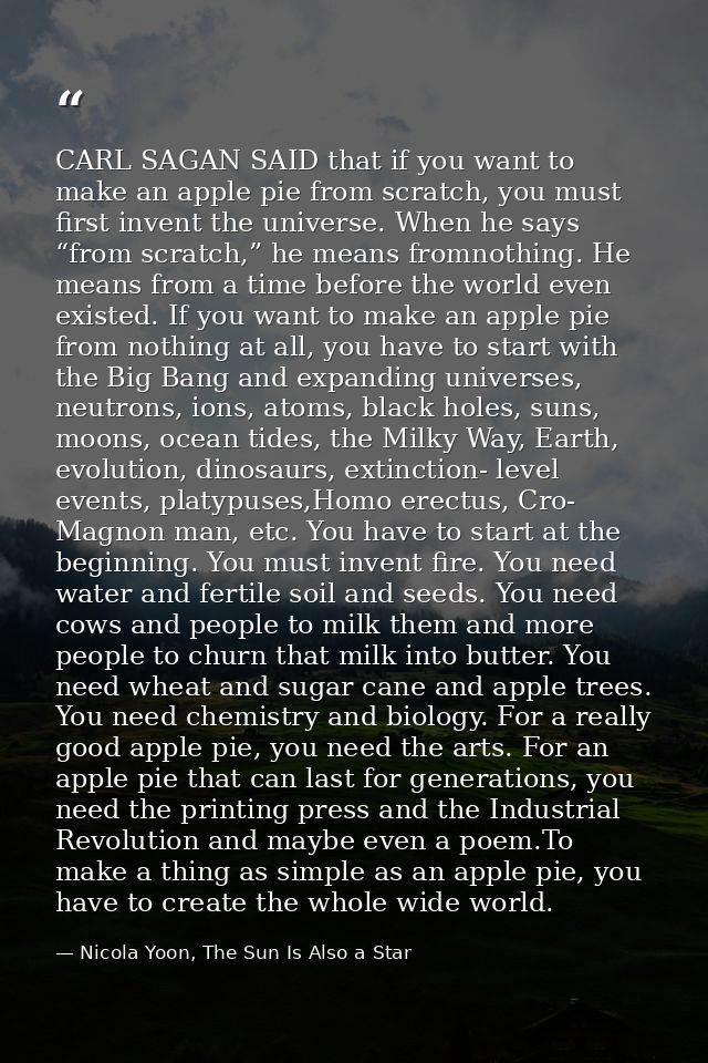 CARL SAGAN SAID that if you want to make an apple pie from scratch, you must first invent the universe. When he says “fr — Nicola Yoon, The Sun Is Also a Star