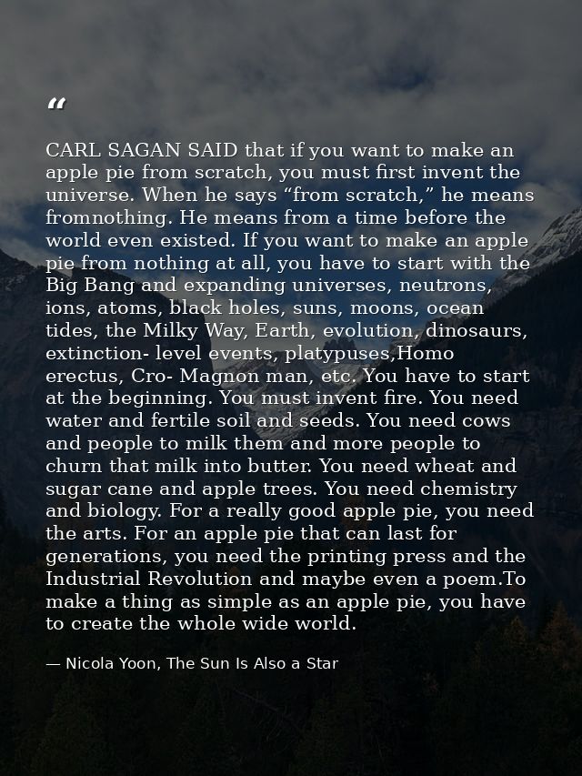 CARL SAGAN SAID that if you want to make an apple pie from scratch, you must first invent the universe. When he says “fr — Nicola Yoon, The Sun Is Also a Star