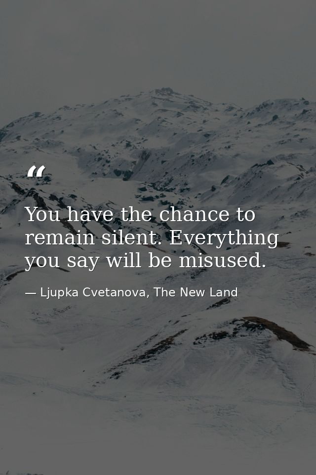 You have the chance to remain silent. Everything you say will be misused. — Ljupka Cvetanova, The New Land