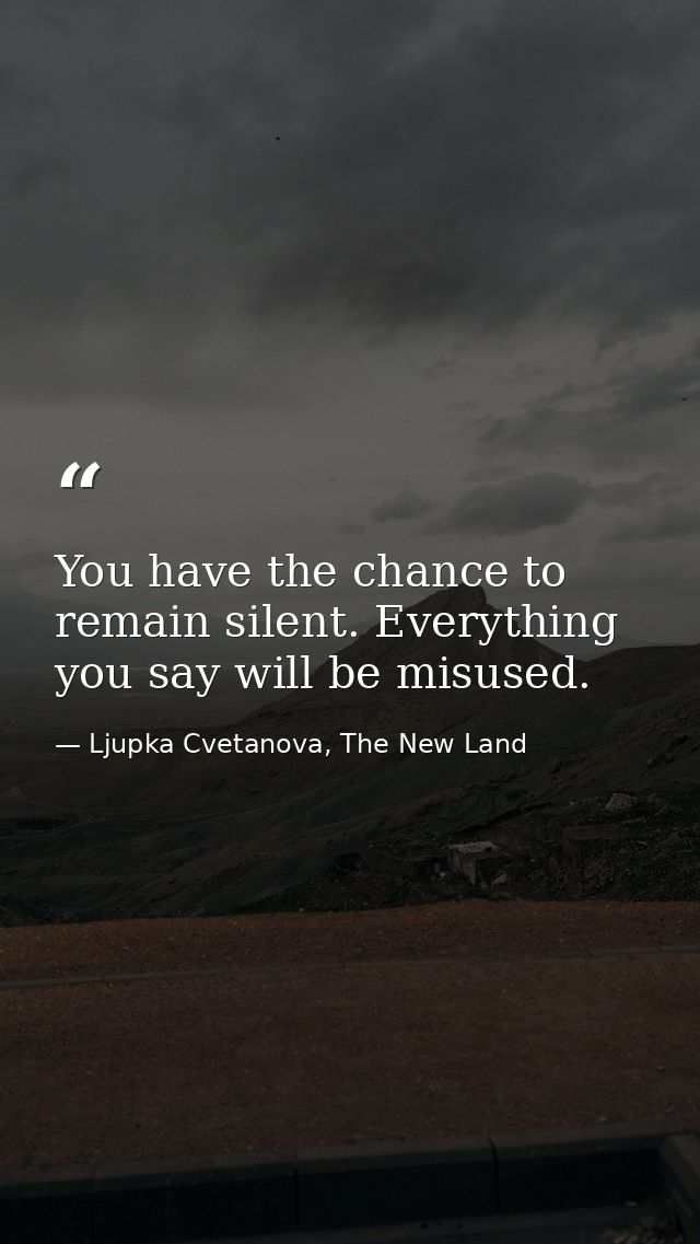 You have the chance to remain silent. Everything you say will be misused. — Ljupka Cvetanova, The New Land