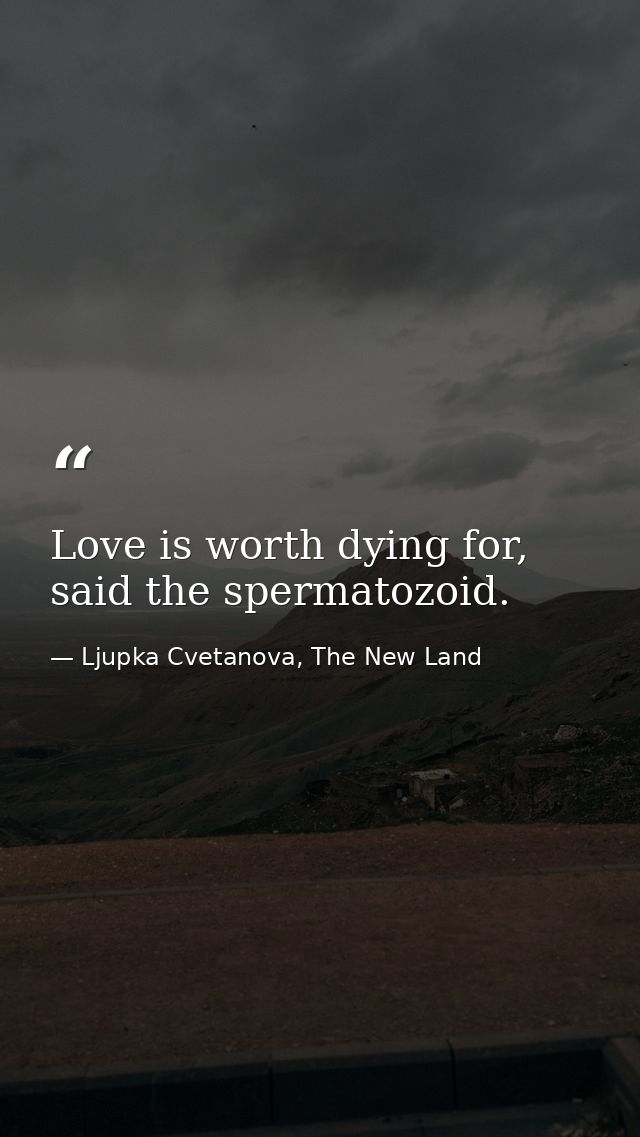 Love is worth dying for, said the spermatozoid. — Ljupka Cvetanova, The New Land