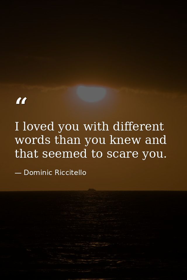 I loved you with different words than you knew and that seemed to scare you. — Dominic Riccitello