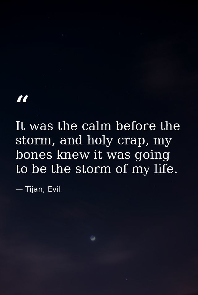 It was the calm before the storm, and holy crap, my bones knew it was going to be the storm of my life. — Tijan, Evil
