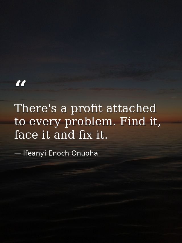 There's a profit attached to every problem. Find it, face it and fix it. — Ifeanyi Enoch Onuoha