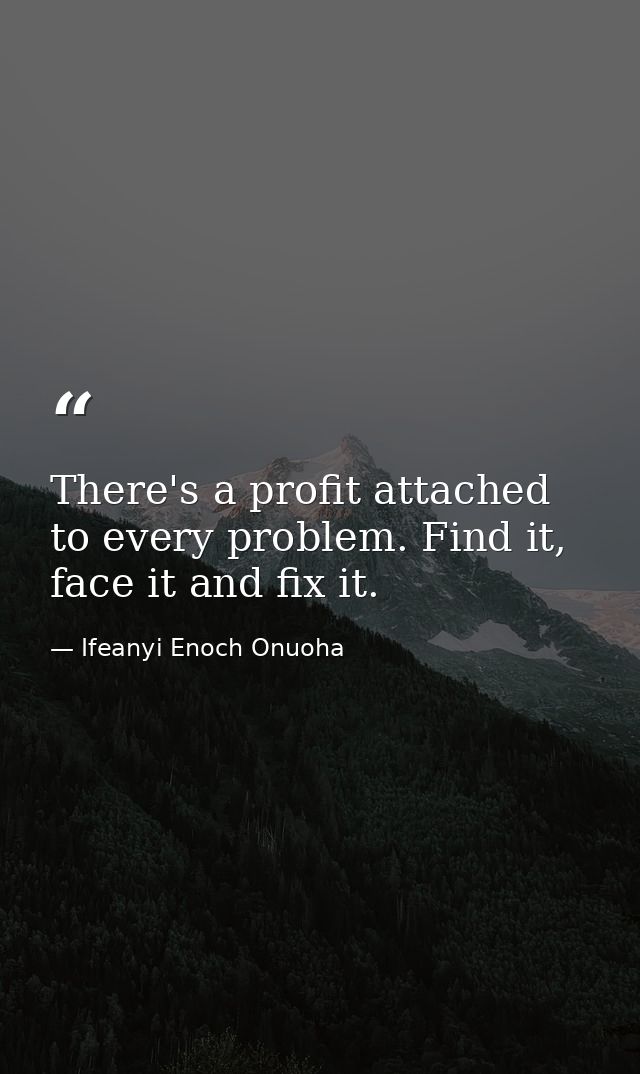 There's a profit attached to every problem. Find it, face it and fix it. — Ifeanyi Enoch Onuoha