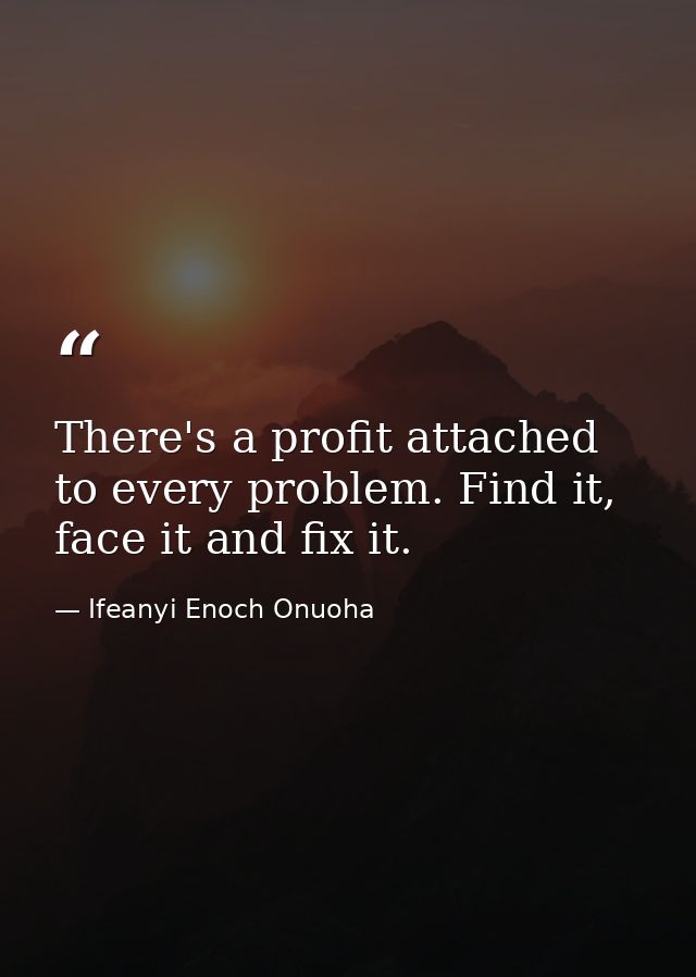 There's a profit attached to every problem. Find it, face it and fix it. — Ifeanyi Enoch Onuoha