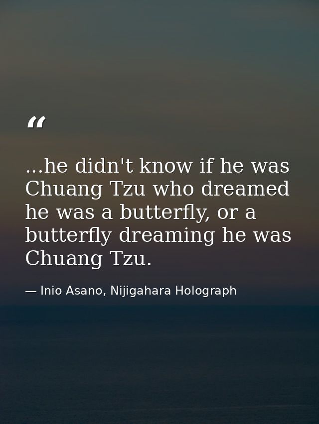 ...he didn't know if he was Chuang Tzu who dreamed he was a butterfly, or a butterfly dreaming he was Chuang Tzu. — Inio Asano, Nijigahara Holograph