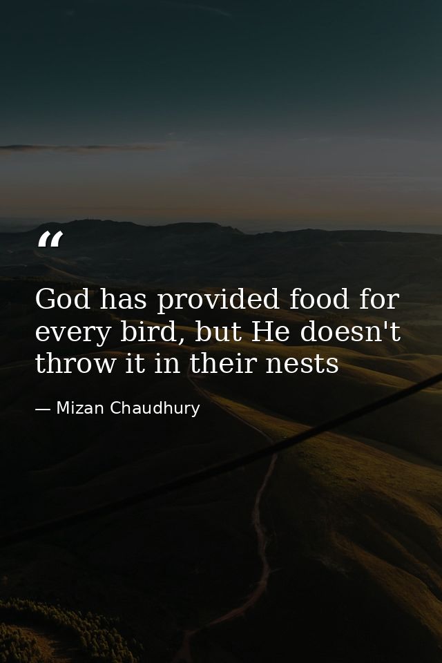 God has provided food for every bird, but He doesn't throw it in their nests — Mizan Chaudhury