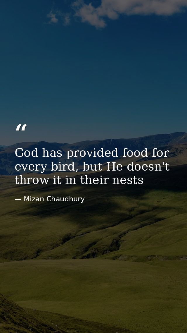 God has provided food for every bird, but He doesn't throw it in their nests — Mizan Chaudhury