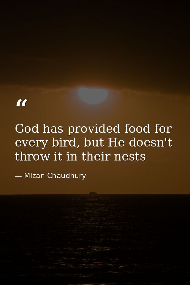 God has provided food for every bird, but He doesn't throw it in their nests — Mizan Chaudhury