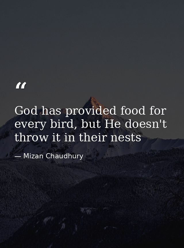 God has provided food for every bird, but He doesn't throw it in their nests — Mizan Chaudhury