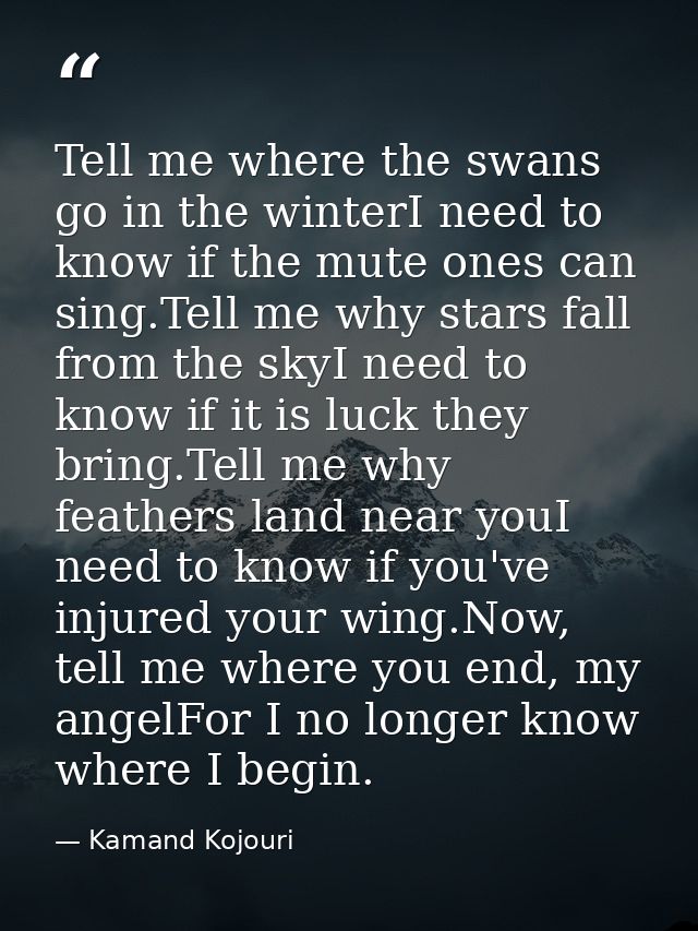 Tell me where the swans go in the winterI need to know if the mute ones can sing.Tell me why stars fall from the skyI ne — Kamand Kojouri
