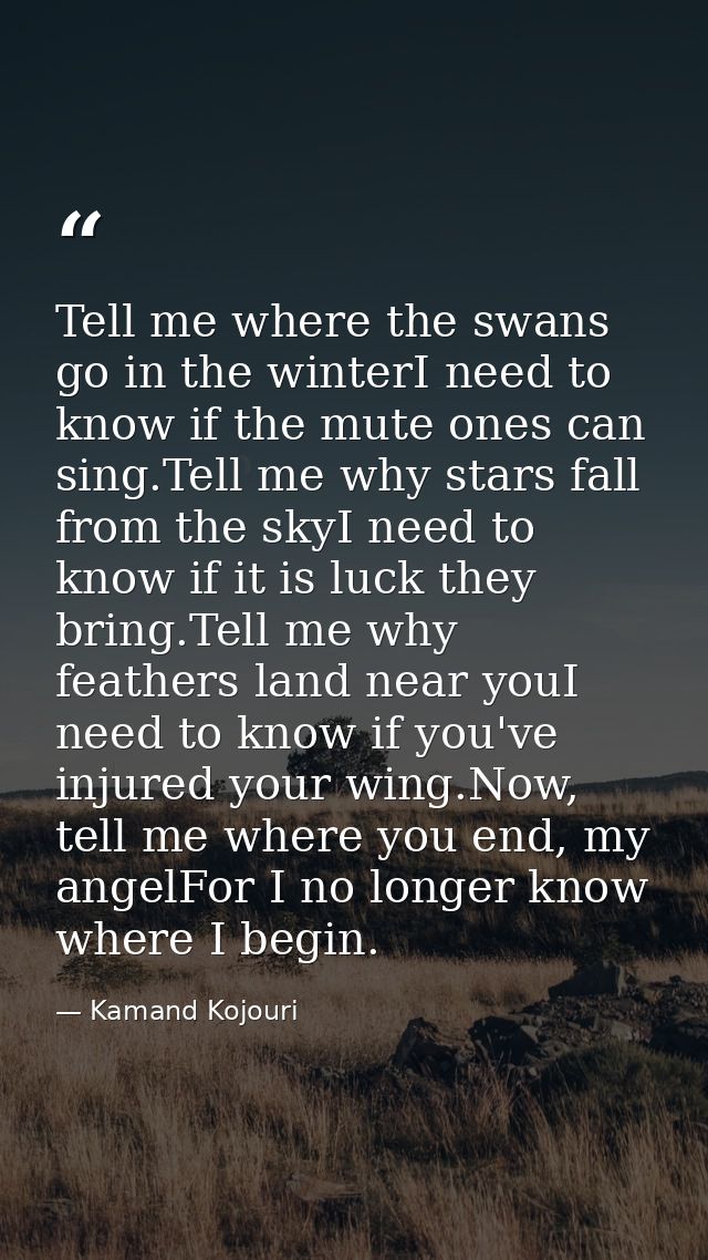 Tell me where the swans go in the winterI need to know if the mute ones can sing.Tell me why stars fall from the skyI ne — Kamand Kojouri