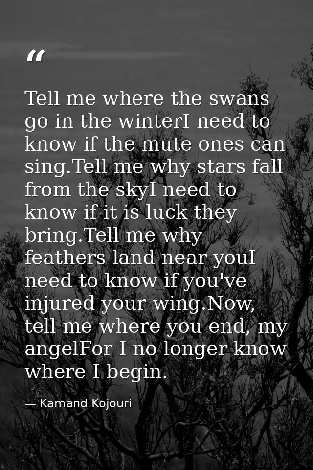 Tell me where the swans go in the winterI need to know if the mute ones can sing.Tell me why stars fall from the skyI ne — Kamand Kojouri