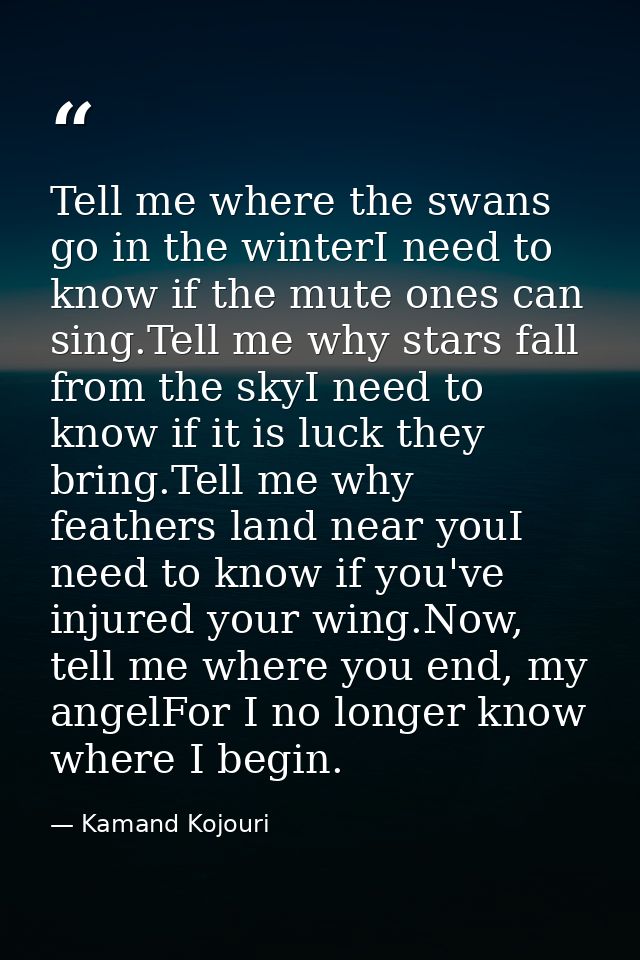 Tell me where the swans go in the winterI need to know if the mute ones can sing.Tell me why stars fall from the skyI ne — Kamand Kojouri