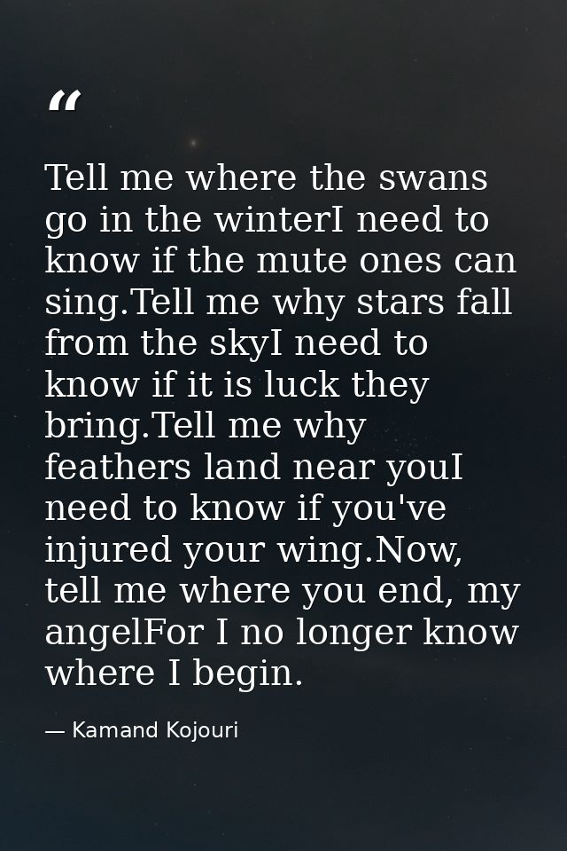 Tell me where the swans go in the winterI need to know if the mute ones can sing.Tell me why stars fall from the skyI ne — Kamand Kojouri
