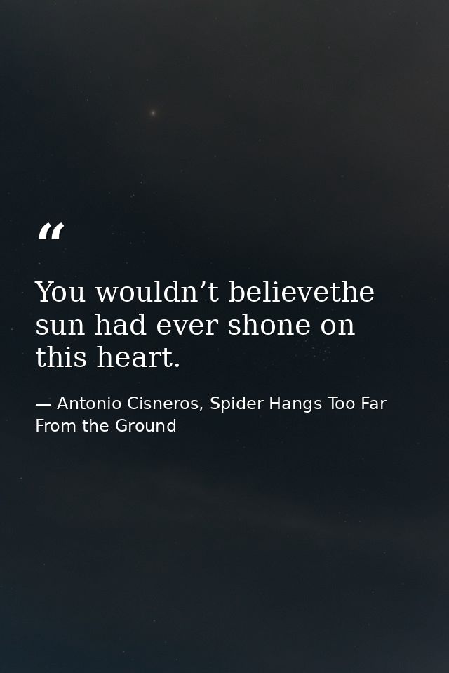 You wouldn’t believethe sun had ever shone on this heart. — Antonio Cisneros, Spider Hangs Too Far From the Ground