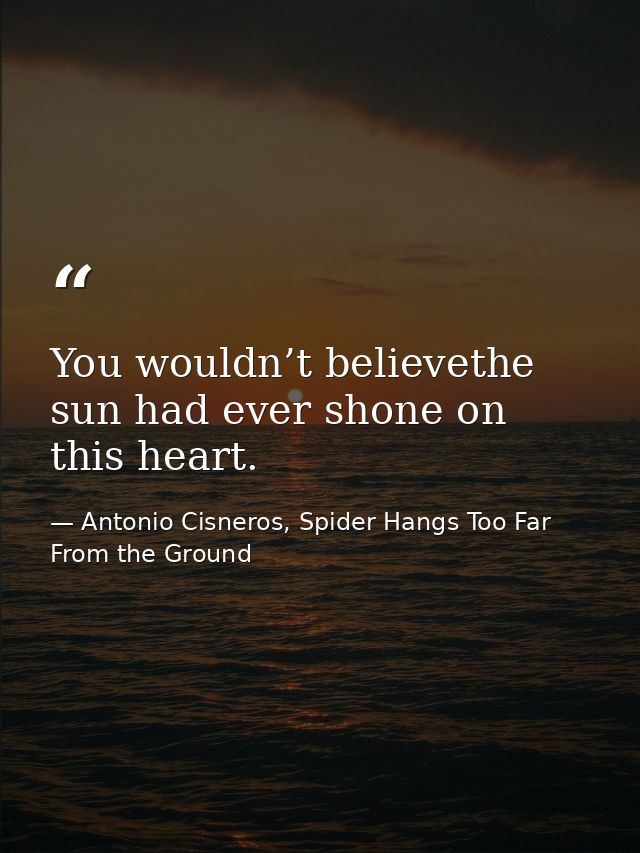 You wouldn’t believethe sun had ever shone on this heart. — Antonio Cisneros, Spider Hangs Too Far From the Ground