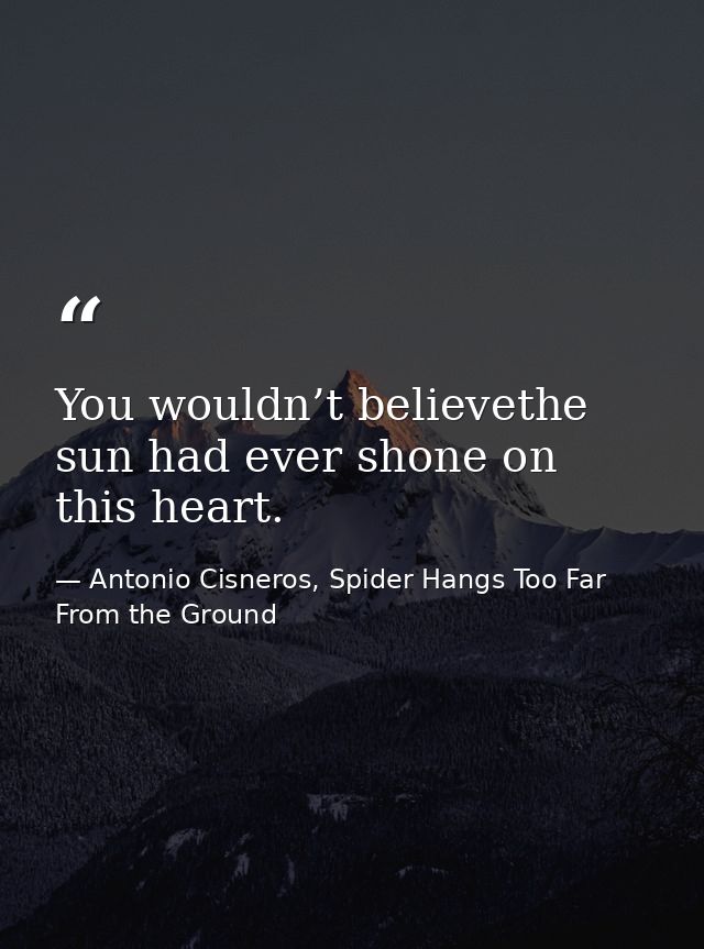 You wouldn’t believethe sun had ever shone on this heart. — Antonio Cisneros, Spider Hangs Too Far From the Ground