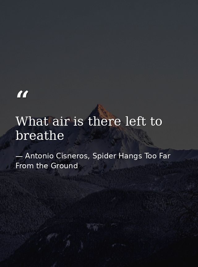What air is there left to breathe — Antonio Cisneros, Spider Hangs Too Far From the Ground