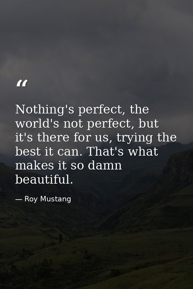 Nothing's perfect, the world's not perfect, but it's there for us, trying the best it can. That's what makes it so damn  — Roy Mustang
