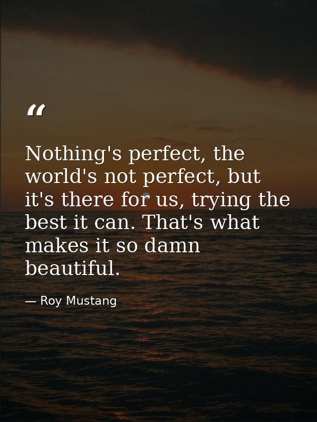 Nothing's perfect, the world's not perfect, but it's there for us, trying the best it can. That's what makes it so damn  — Roy Mustang