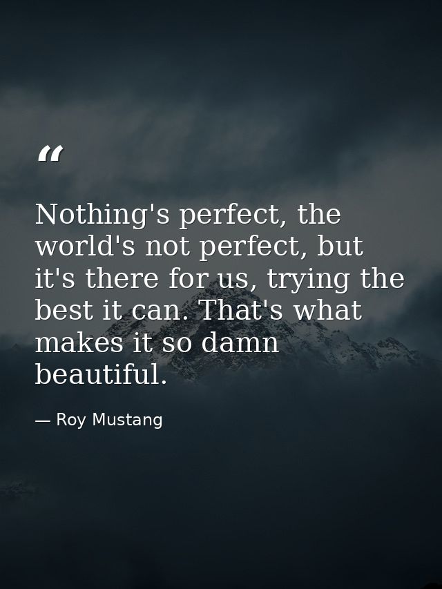 Nothing's perfect, the world's not perfect, but it's there for us, trying the best it can. That's what makes it so damn  — Roy Mustang